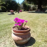 Mamena Paestum