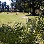 Mamena Paestum