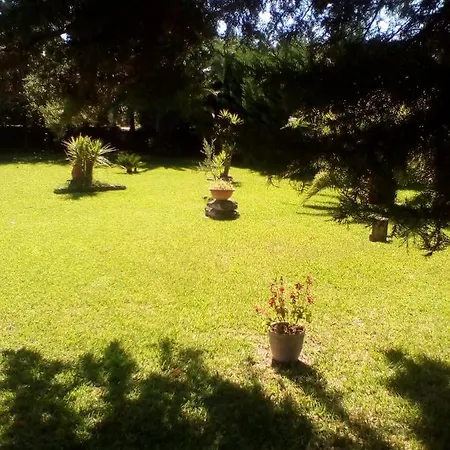 Bed and Breakfast Mamena Πέστουμ