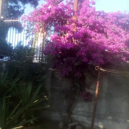 Mamena *