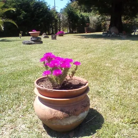 Mamena Paestum