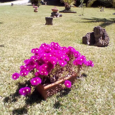 Mamena Bed & Breakfast Paestum