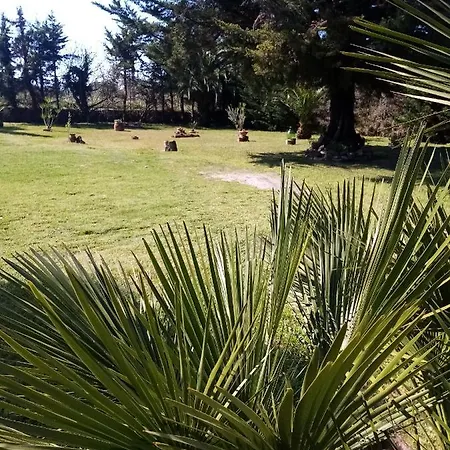 Mamena Paestum