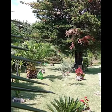 Bed and Breakfast Mamena 3*