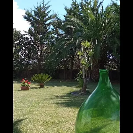 Mamena بييسْتوم