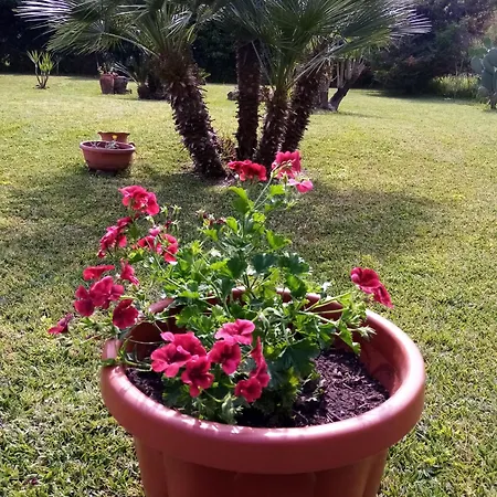 Bed & Breakfast Mamena