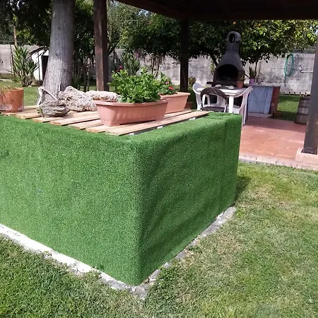 Mamena Bed & Breakfast *