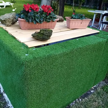 Bed and Breakfast Mamena 3*