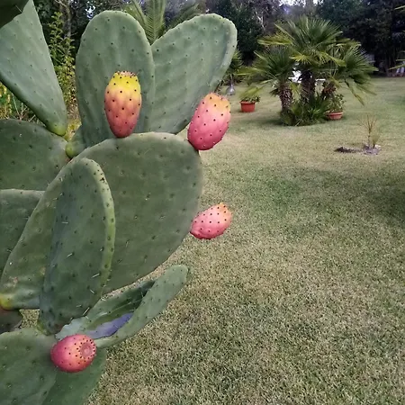 Alojamento de Acomodação e Pequeno-almoço Mamena 3*