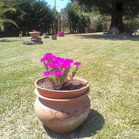 Mamena فندق مبيت وإفطار 3*