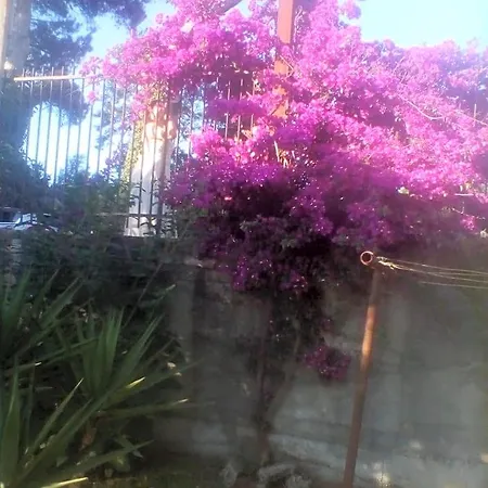 Mamena 3*