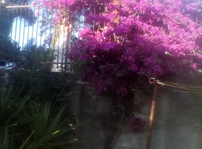 Mamena 3*